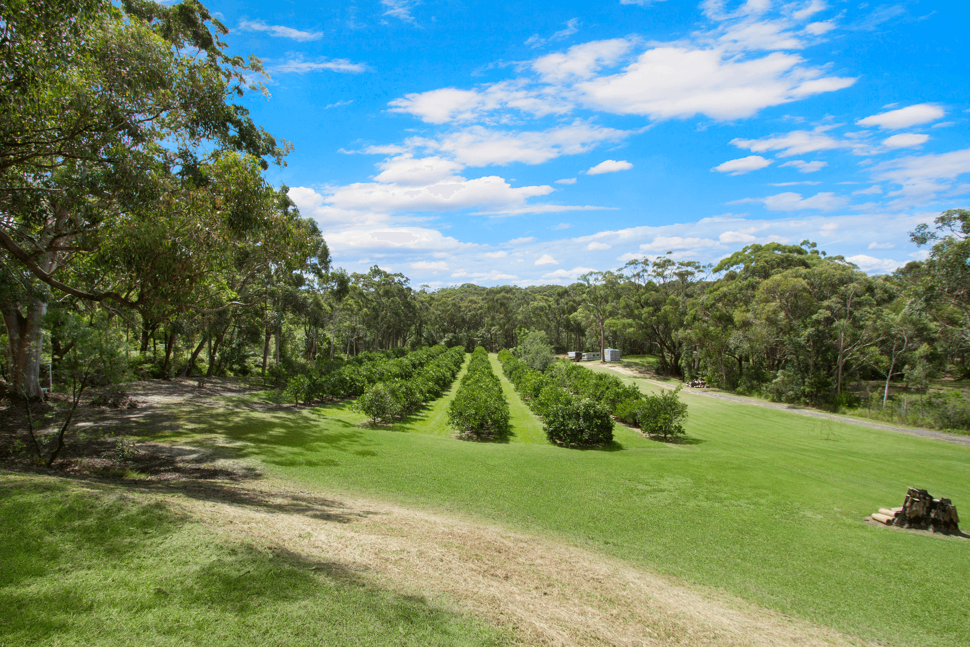 1732 Wisemans Ferry Road, Central Mangrove, NSW 2250