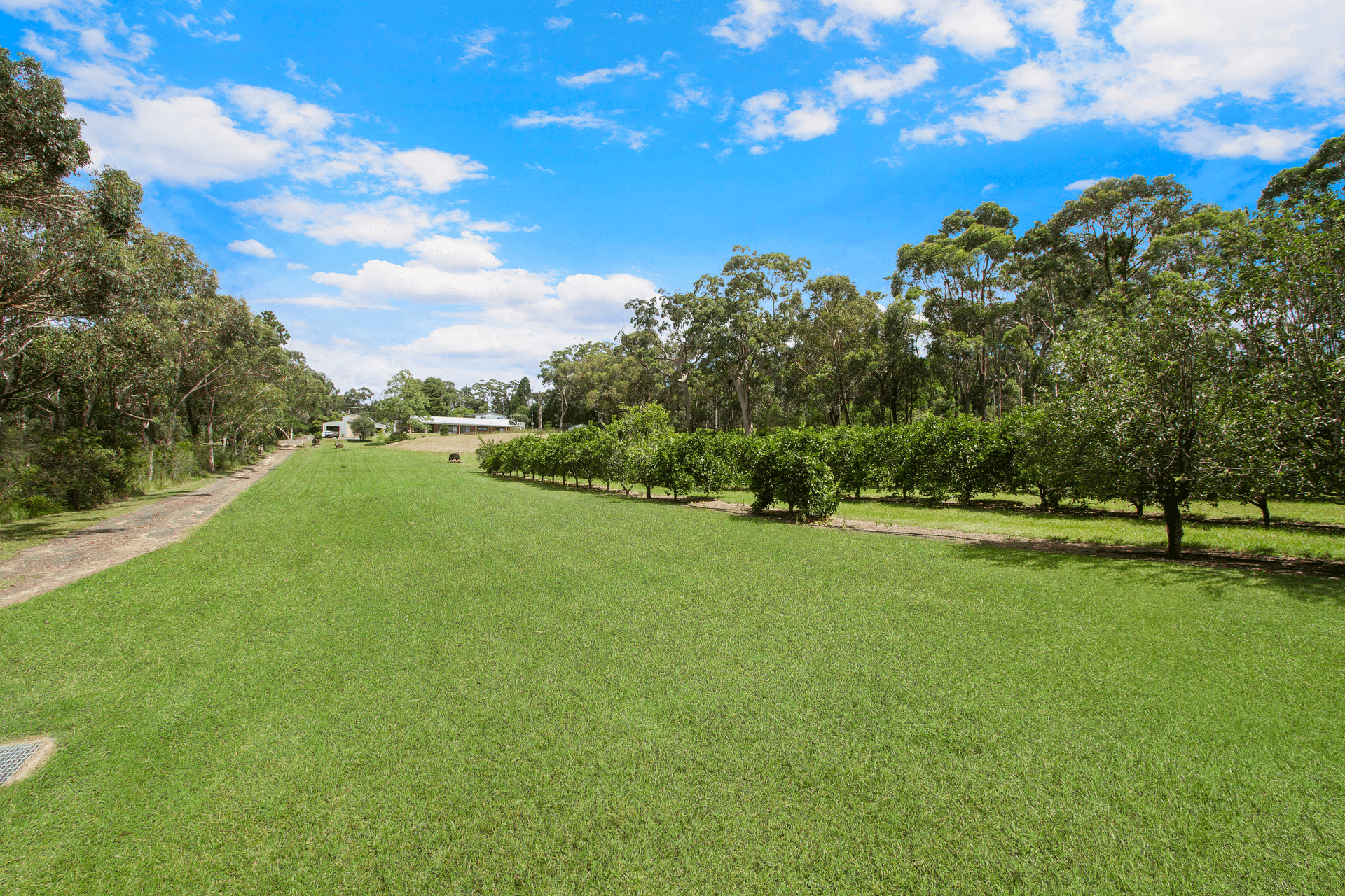 1732 Wisemans Ferry Road, Central Mangrove, NSW 2250