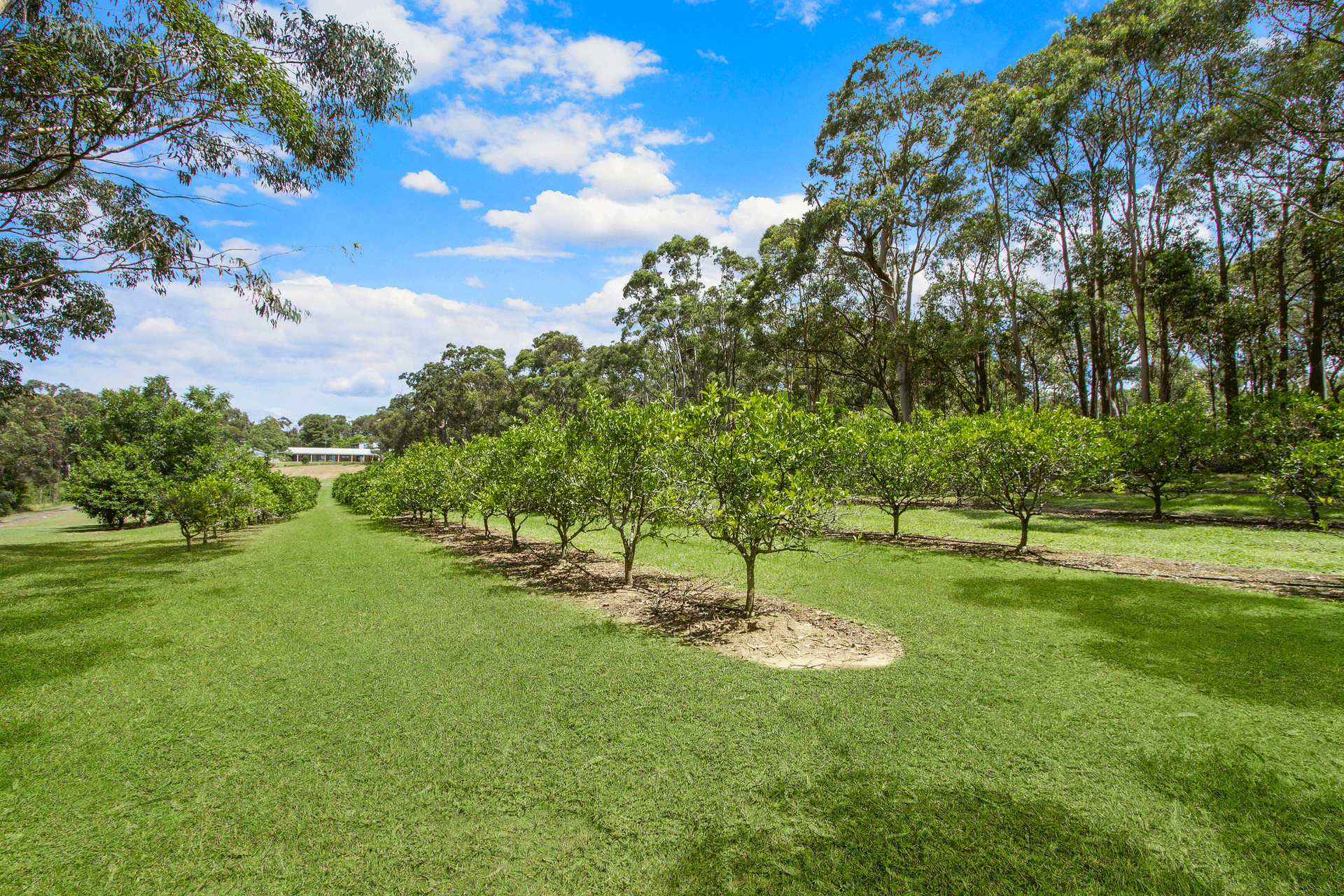 1732 Wisemans Ferry Road, Central Mangrove, NSW 2250