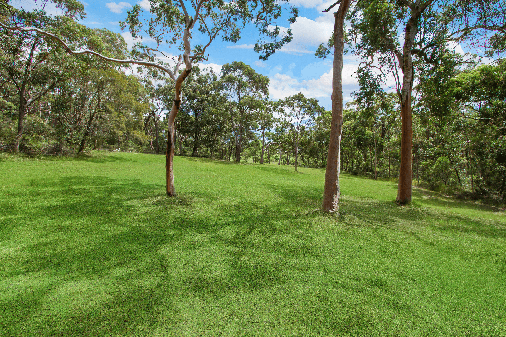 1732 Wisemans Ferry Road, Central Mangrove, NSW 2250