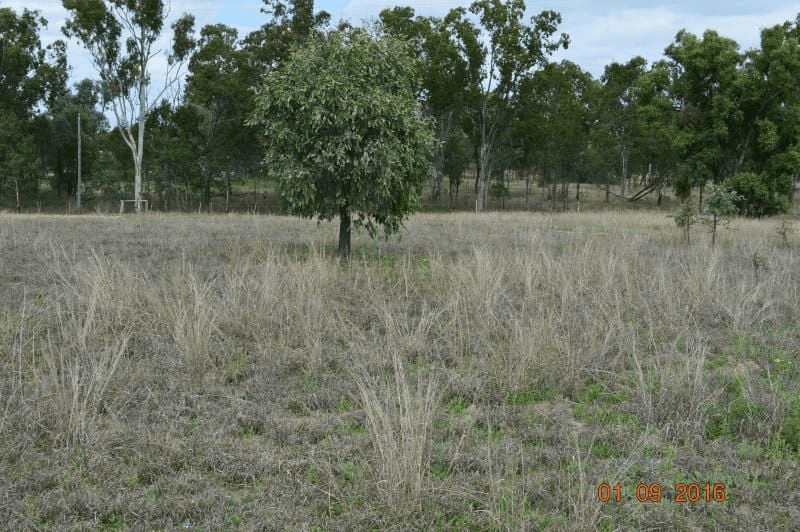 76 Roche Creek Rd, Wandoan, QLD 4419