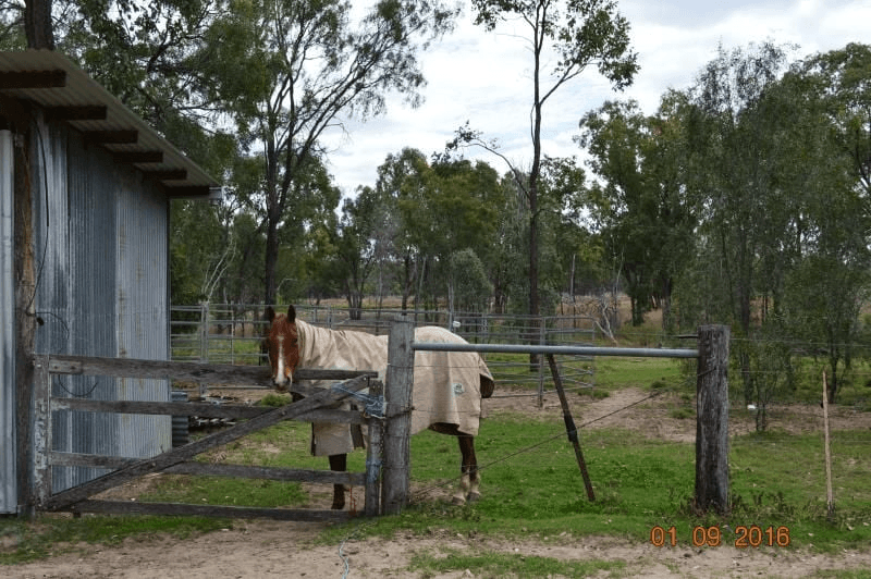 76 Roche Creek Rd, Wandoan, QLD 4419