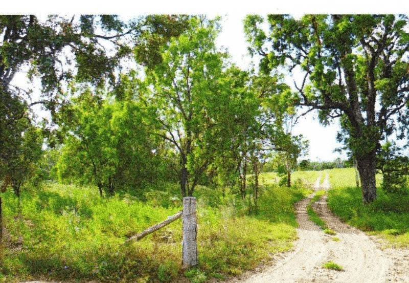 76 Roche Creek Rd, Wandoan, QLD 4419