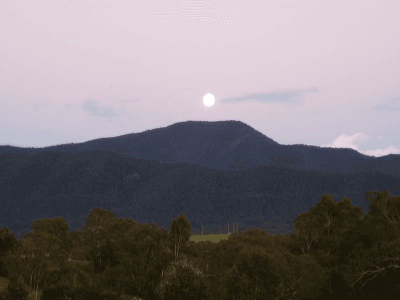 98 Snowy Mountains Hwy, BEMBOKA, NSW 2550