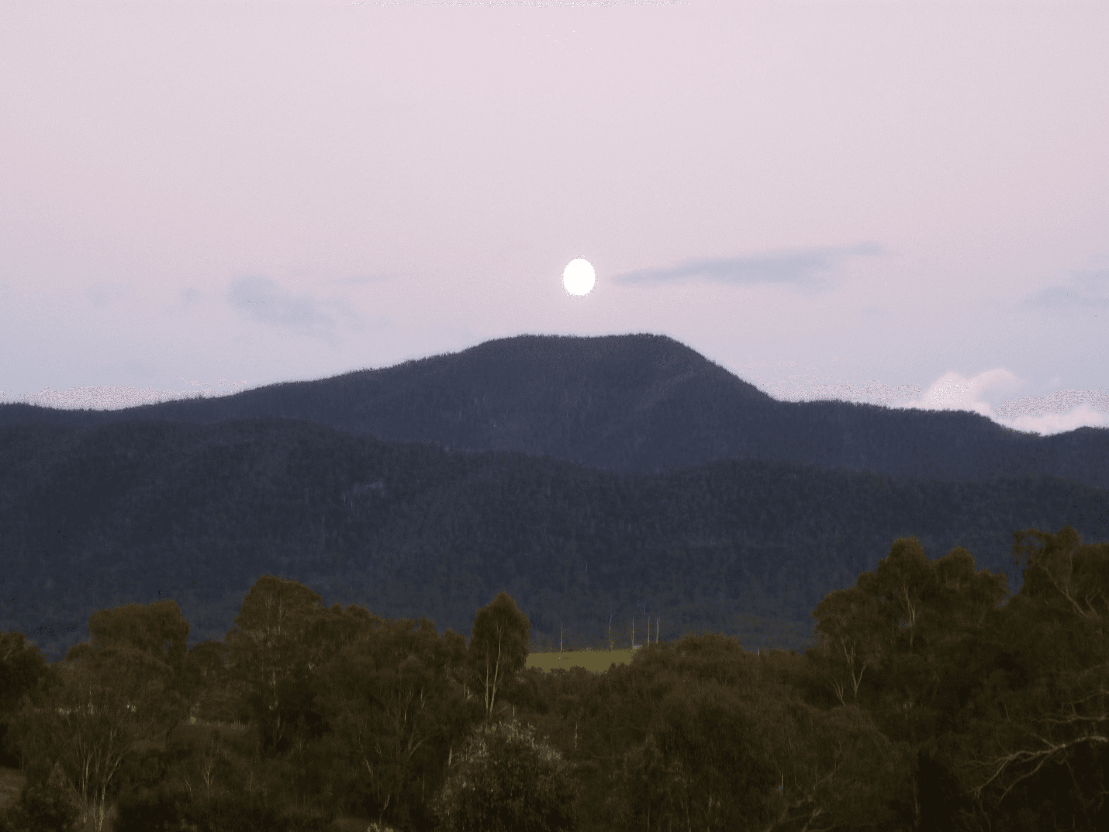 98 Snowy Mountains Hwy, BEMBOKA, NSW 2550
