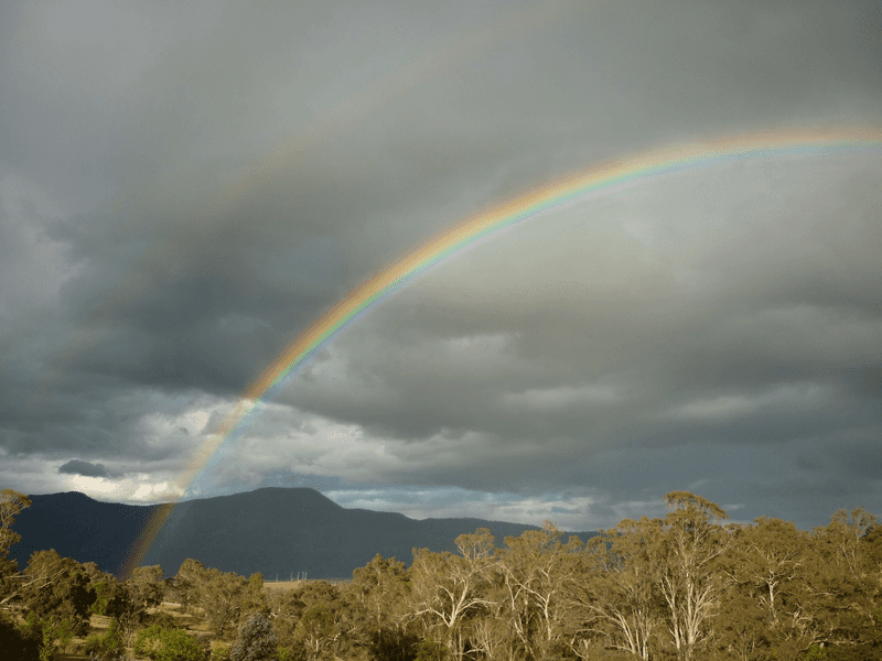 98 Snowy Mountains Hwy, BEMBOKA, NSW 2550