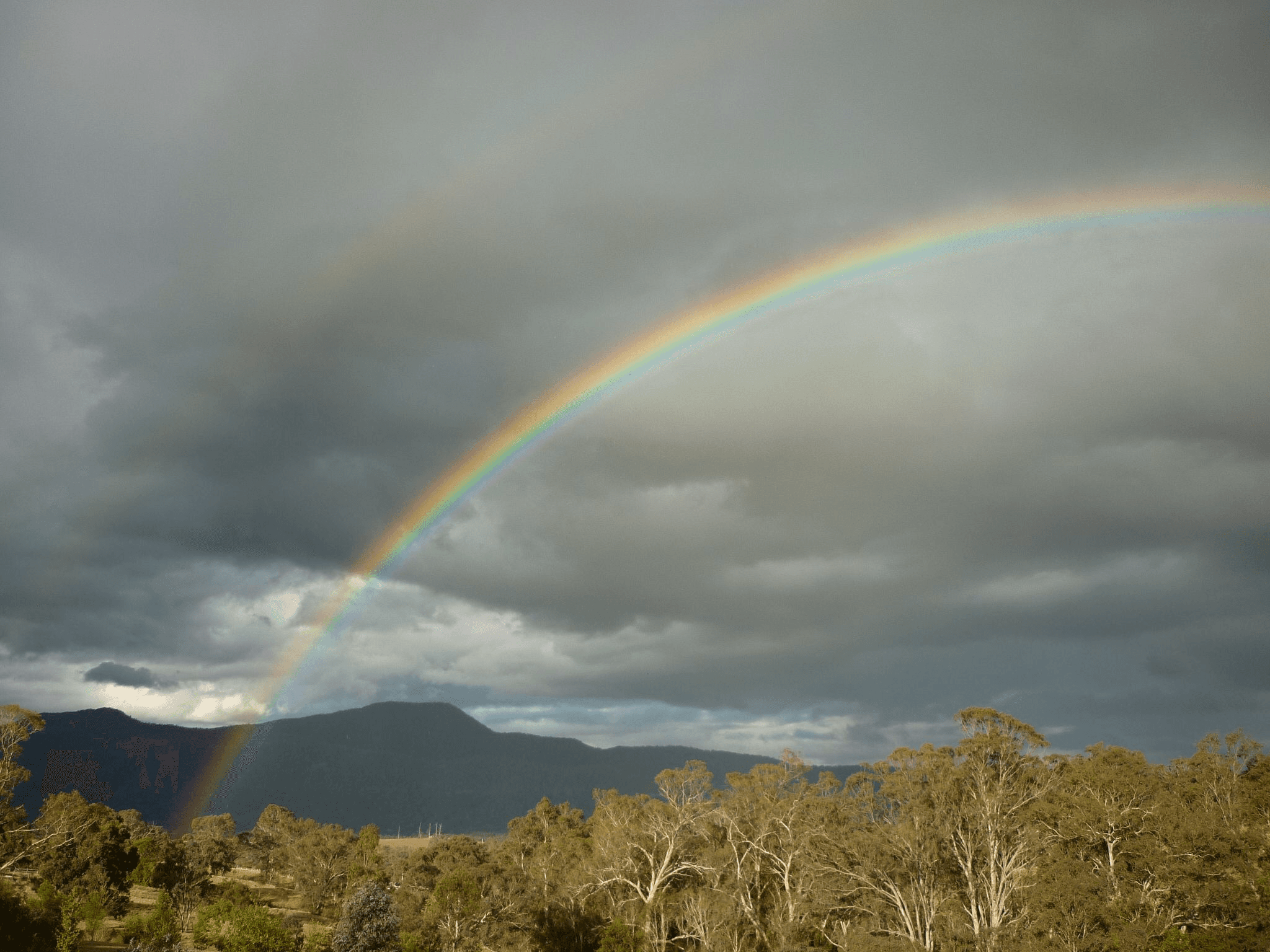 98 Snowy Mountains Hwy, BEMBOKA, NSW 2550