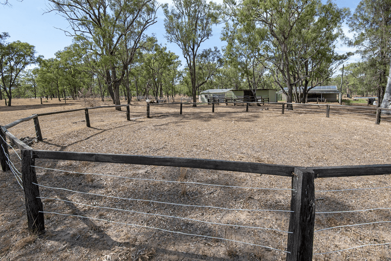 177 Wiedmans Road, SWAN CREEK, QLD 4370