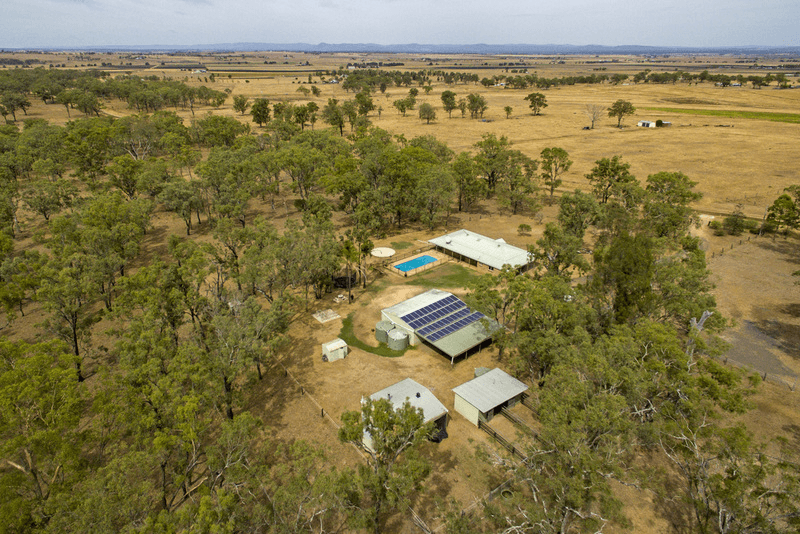 177 Wiedmans Road, SWAN CREEK, QLD 4370