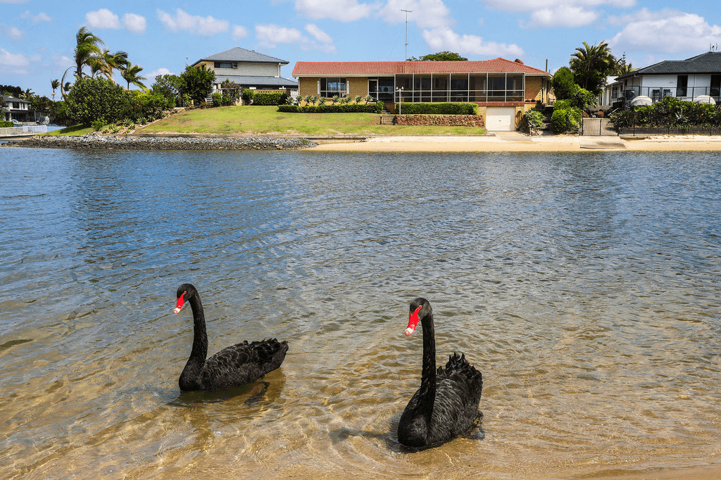 12 Wyuna Street, BROADBEACH WATERS, QLD 4218