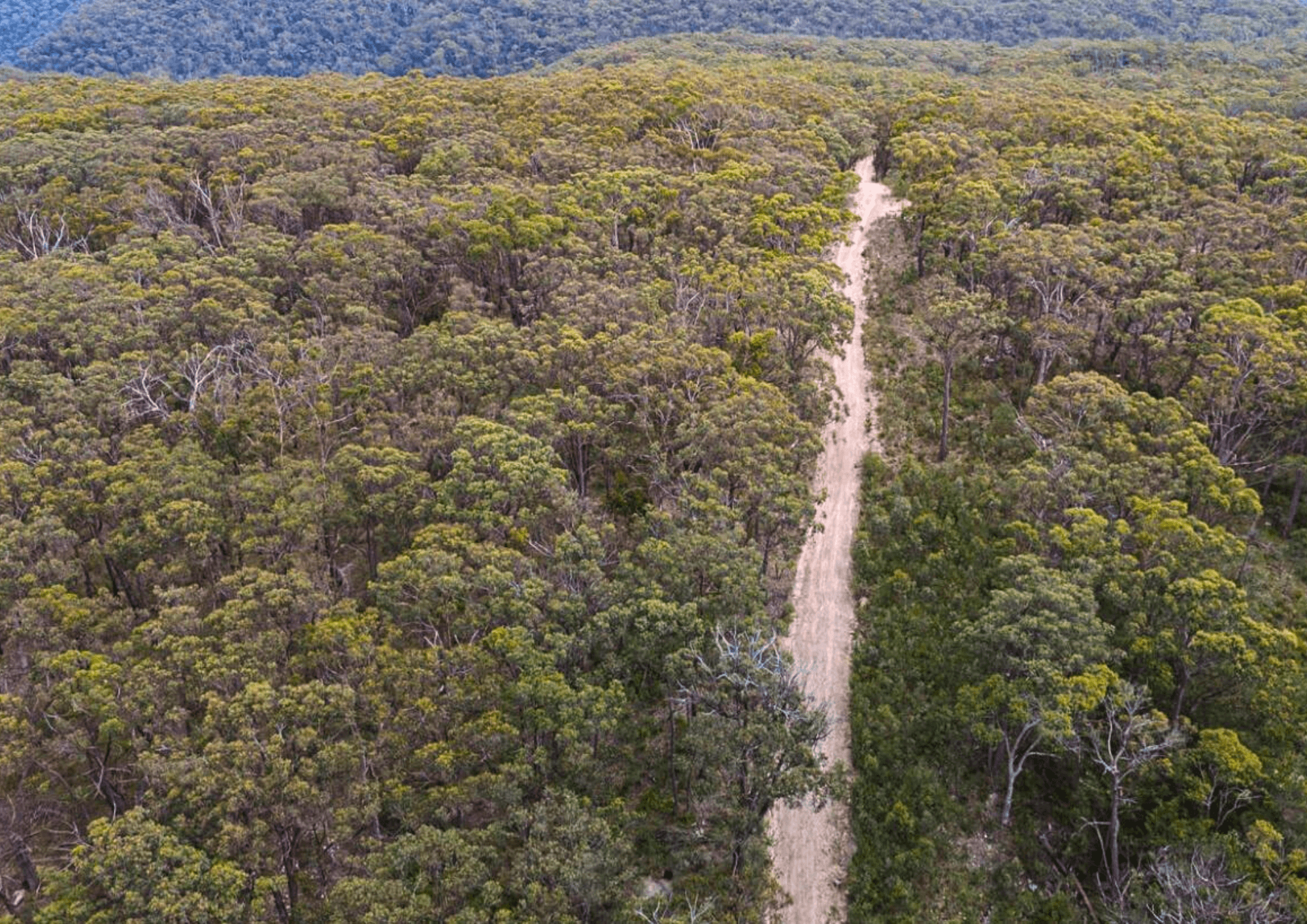 8 Badgerys Lookout Road, TALLONG, NSW 2579