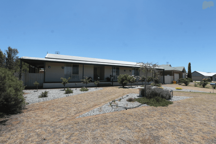 6 Stubing Street, CLEVE, SA 5640