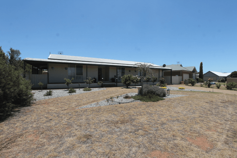 6 Stubing Street, CLEVE, SA 5640