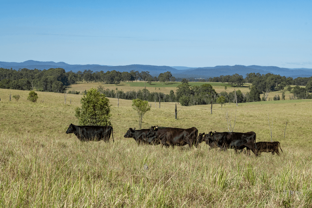 925 Rushforth Road, GRAFTON, NSW 2460