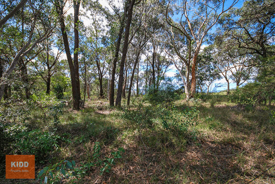 14 Baines Road, MANGROVE MOUNTAIN, NSW 2250