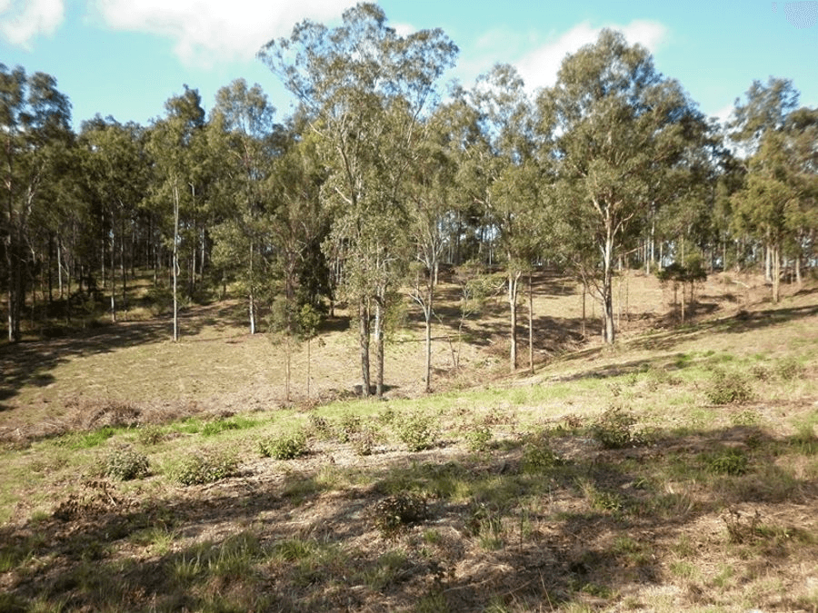 319 North Deep Creek Road, NORTH DEEP CREEK, QLD 4570