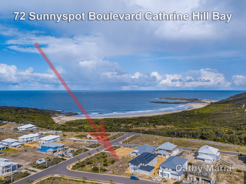 72 Sunnyspot Boulevard, CATHERINE HILL BAY, NSW 2281