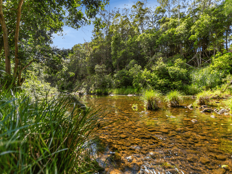 1864 Kyogle Road,Terragon, Uki, NSW 2484