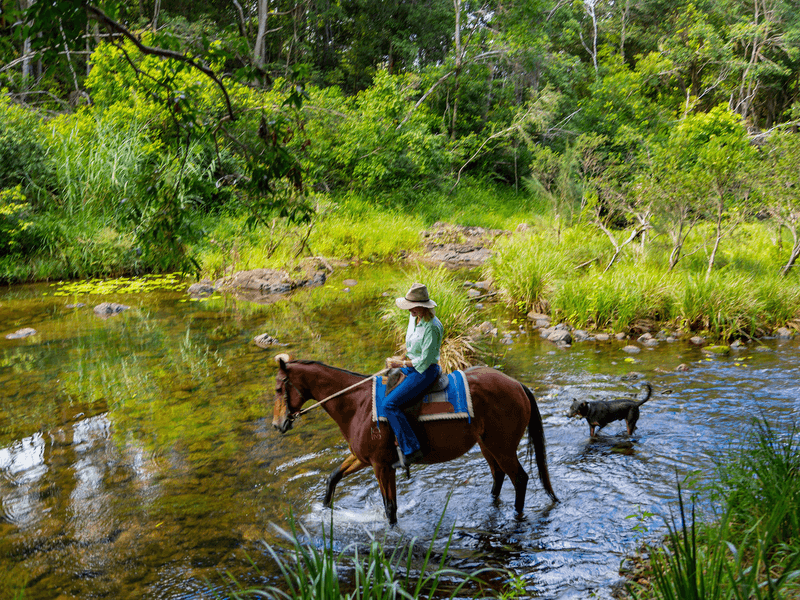 1864 Kyogle Road,Terragon, Uki, NSW 2484