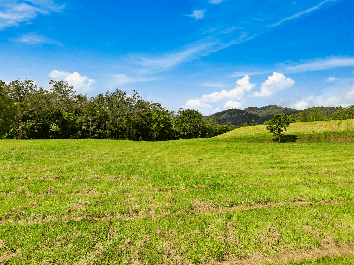 1864 Kyogle Road,Terragon, Uki, NSW 2484