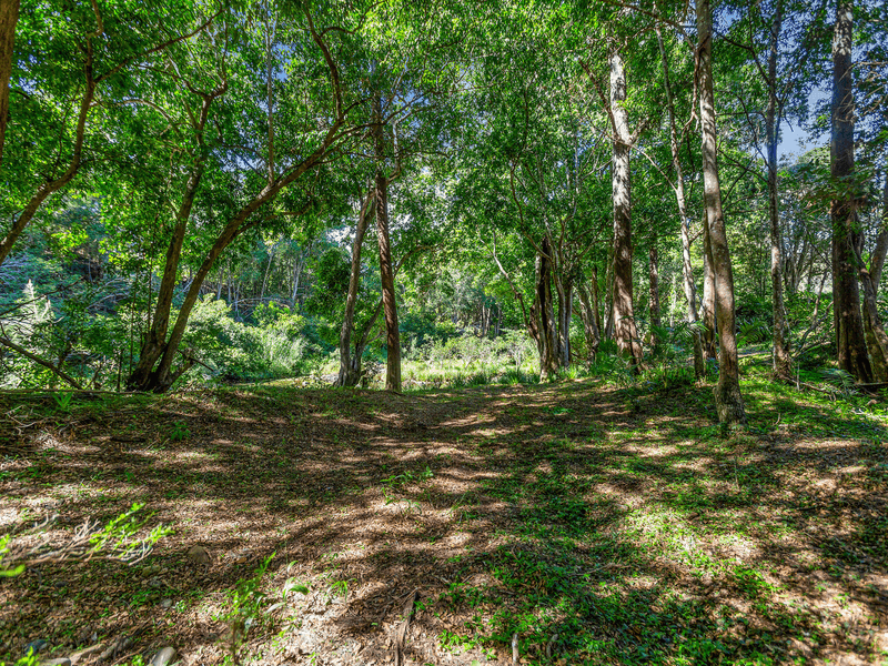 1864 Kyogle Road,Terragon, Uki, NSW 2484