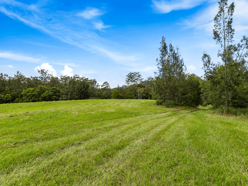 1864 Kyogle Road,Terragon, Uki, NSW 2484