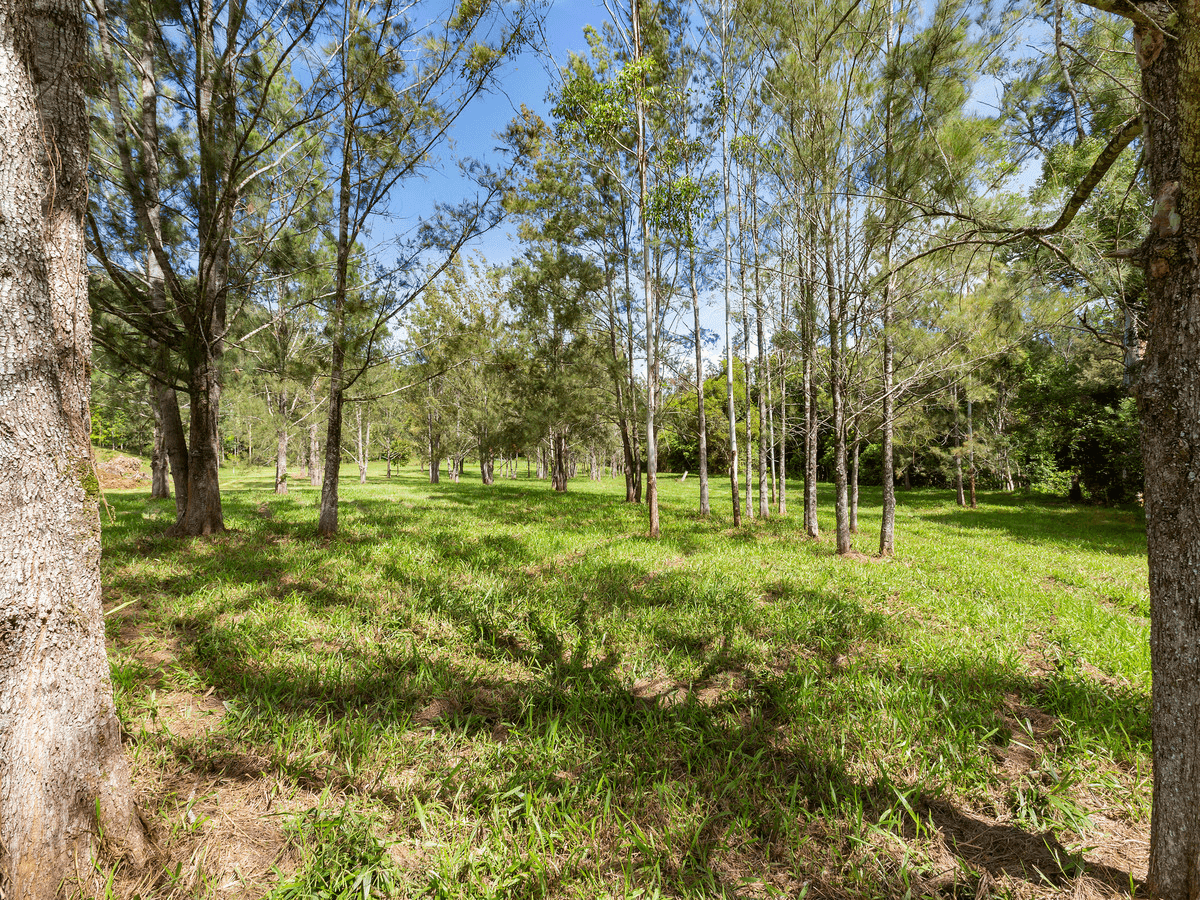 1864 Kyogle Road,Terragon, Uki, NSW 2484