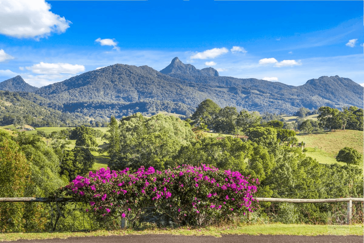 78 Old Lismore Road, Murwillumbah, NSW 2484