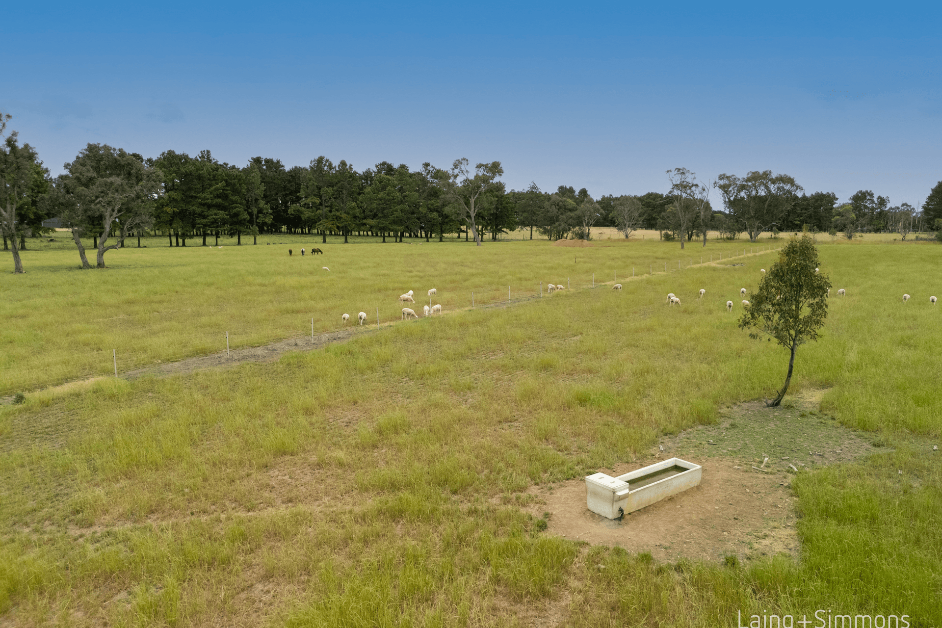 50 Holloways Lane, Armidale, NSW 2350