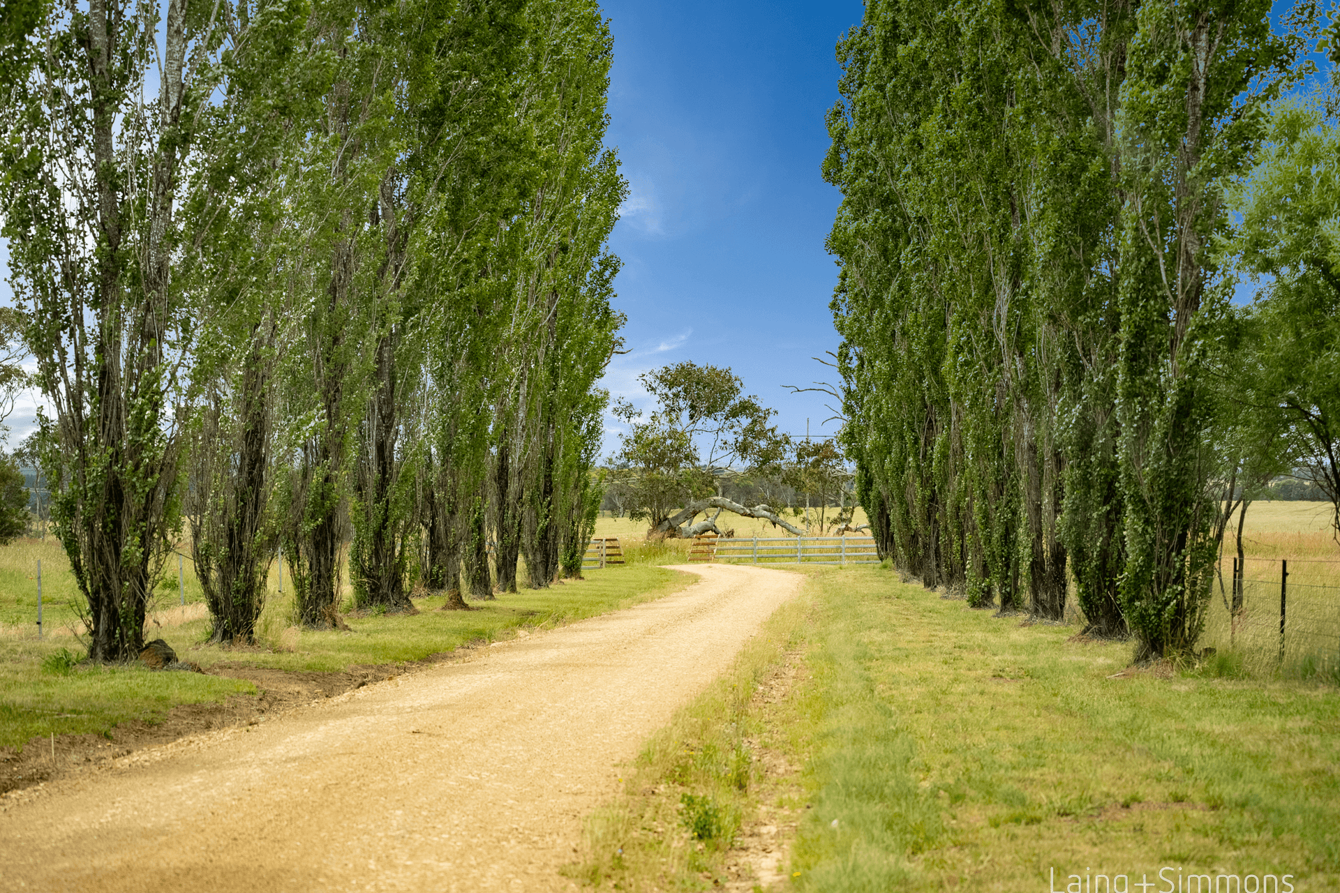 50 Holloways Lane, Armidale, NSW 2350