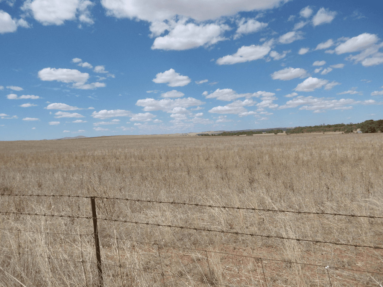 - Stone Hut-Caltowie Road, CALTOWIE, SA 5490