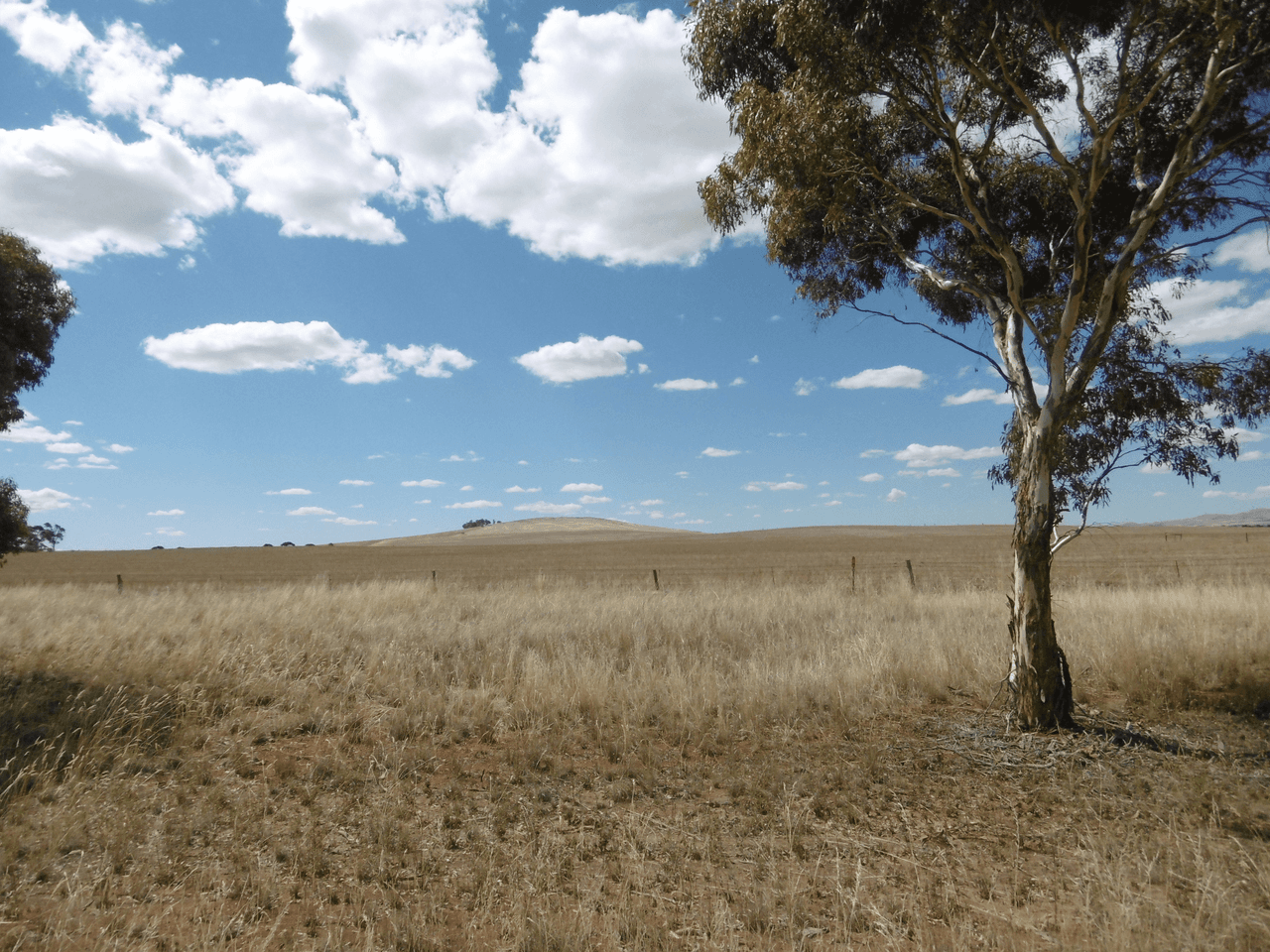 - Stone Hut-Caltowie Road, CALTOWIE, SA 5490