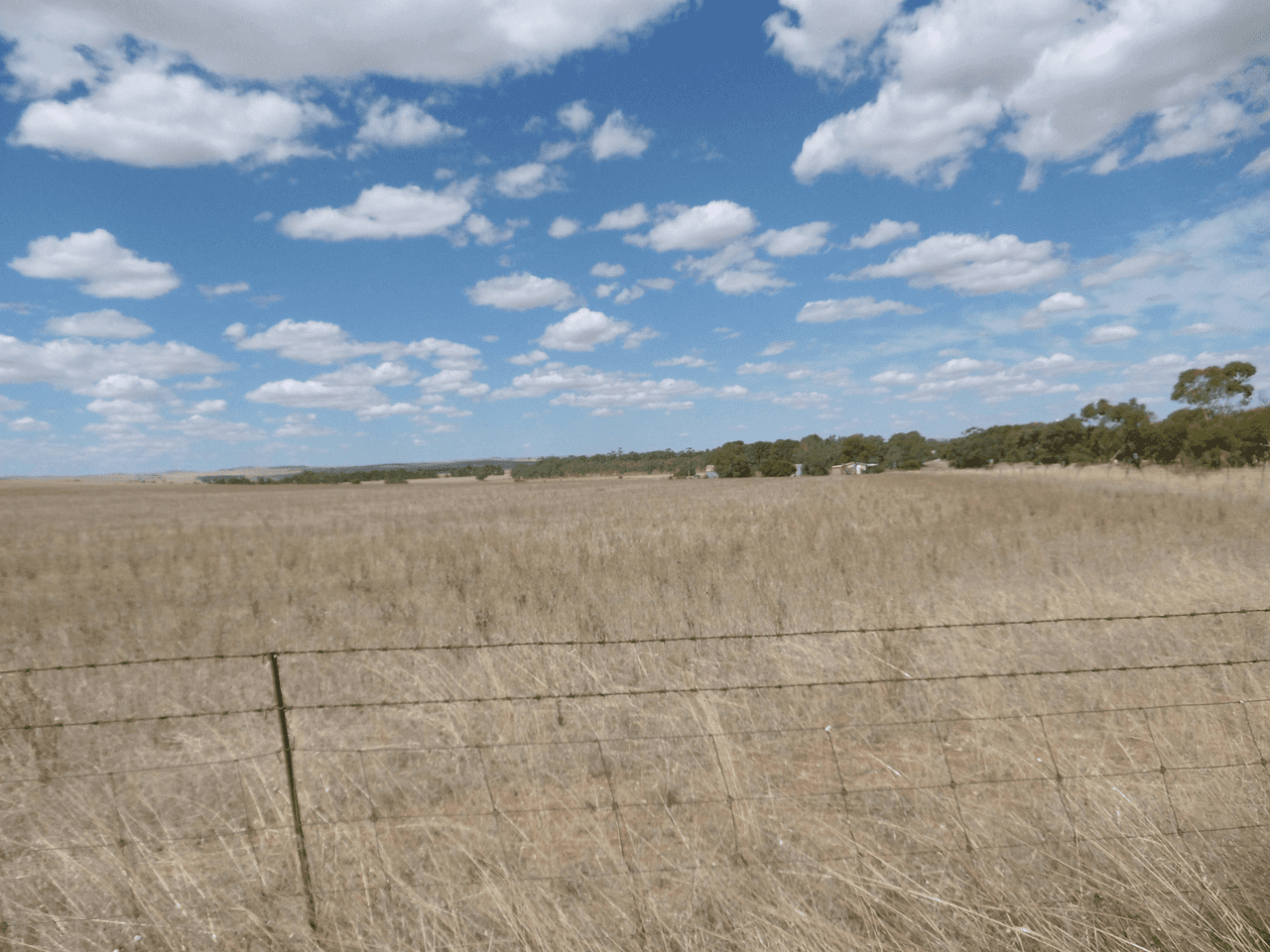 - Stone Hut-Caltowie Road, CALTOWIE, SA 5490