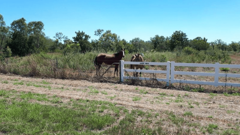 Lot 101 Chamberlain Drive, KUNUNURRA, WA 6743