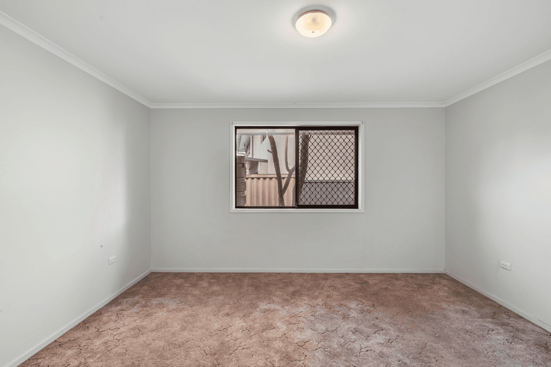 6 Heathwood Street, RANGEVILLE, QLD 4350