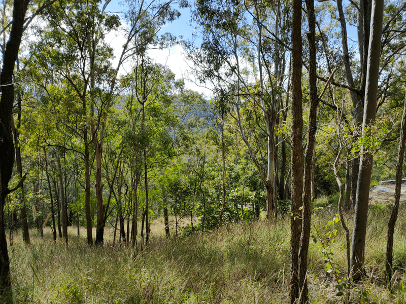 1334 Tamborine Oxenford Road, WONGAWALLAN, QLD 4210