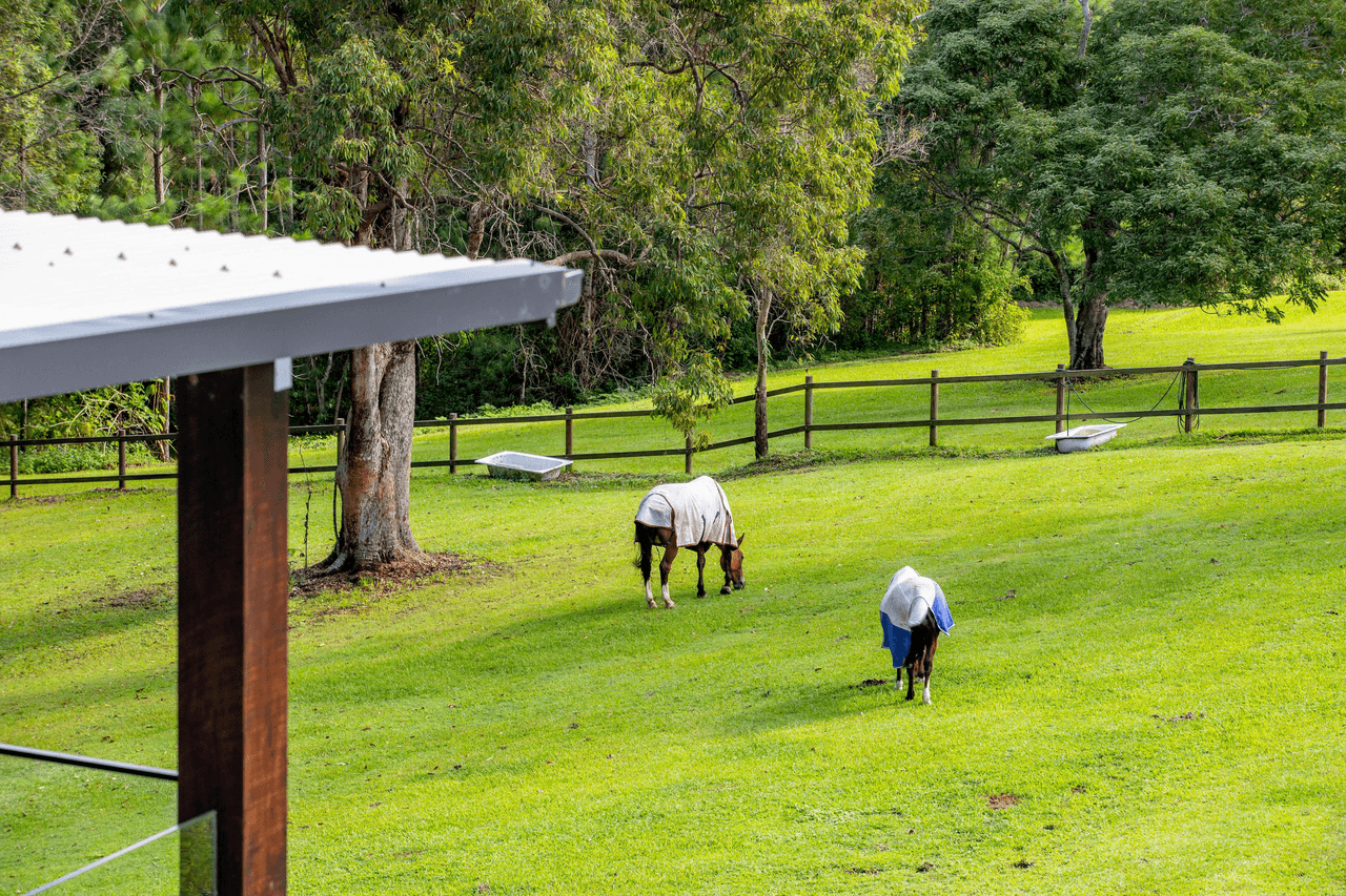 247 Old Gympie Road, MOOLOOLAH VALLEY, QLD 4553