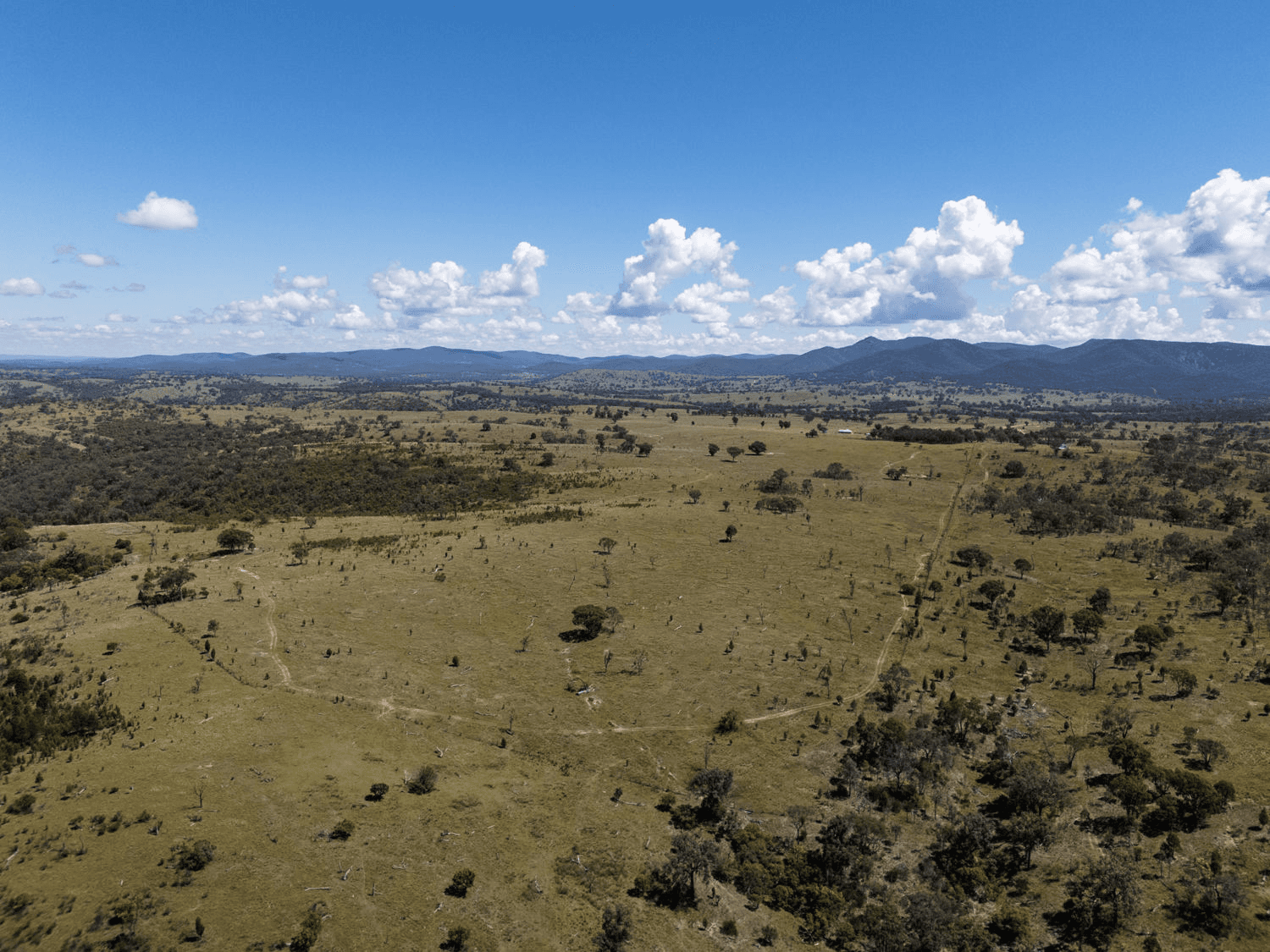 112 Mole Station Road, TENTERFIELD, NSW 2372