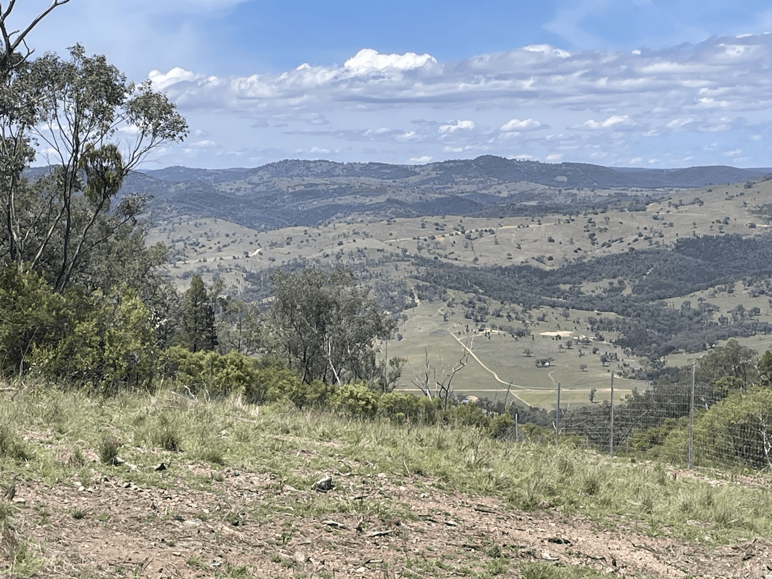 112 Mole Station Road, TENTERFIELD, NSW 2372