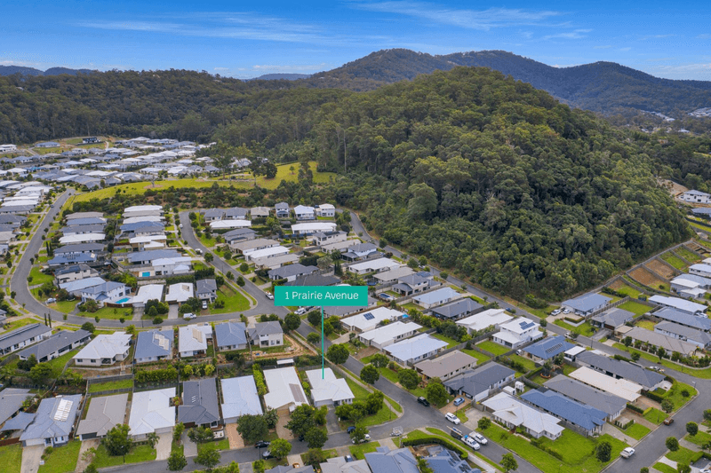 1 Prairie Avenue, MAUDSLAND, QLD 4210