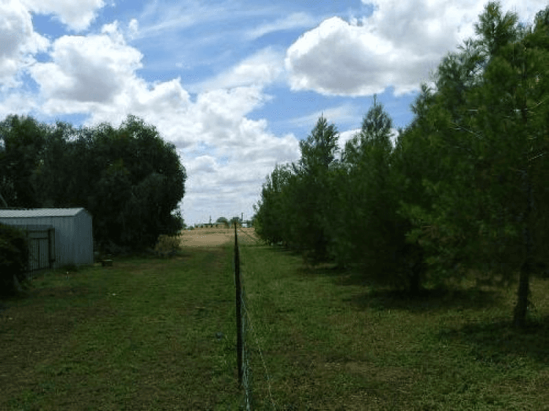 railway parade, Peak Hill, NSW 2869