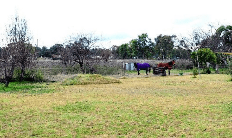 Bingie Grumble Road, Coonabarabran, NSW 2357