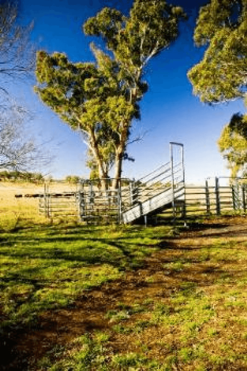 Millthorpe, NSW 2798