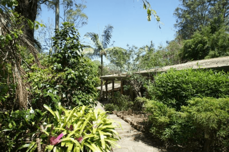 25 Faraway Road, Kyogle, NSW 2474