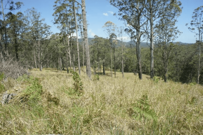 25 Faraway Road, Kyogle, NSW 2474