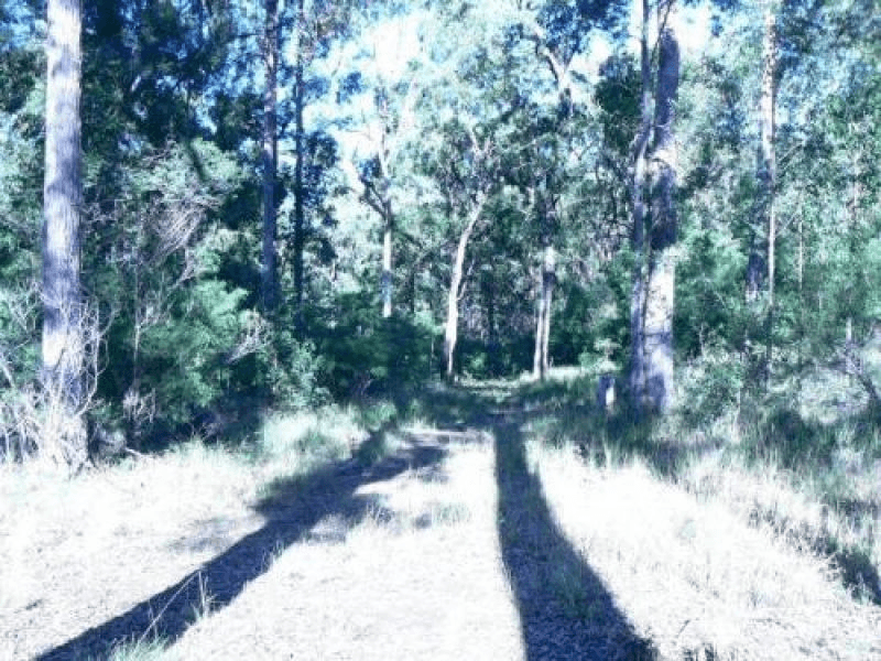 Lot 845, Kiaka Rd, Nethercote, NSW 2549