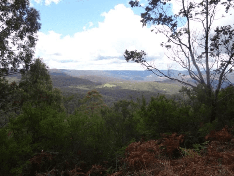 Barry Road, Hanging Rock, NSW 2340