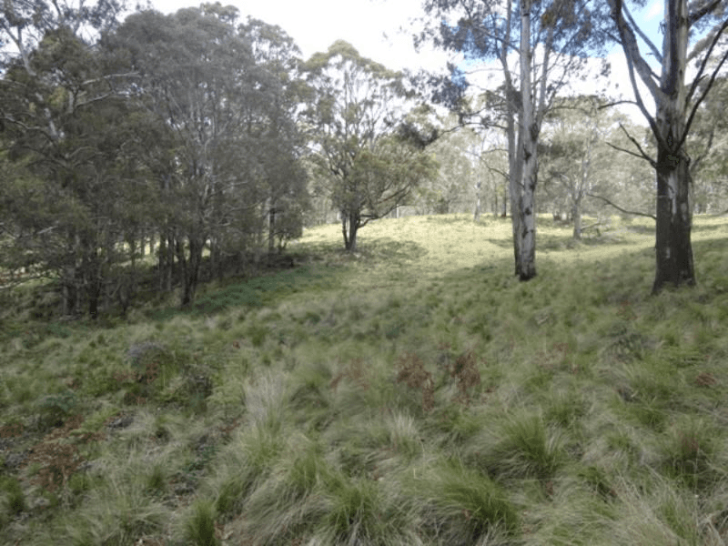 Barry Road, Hanging Rock, NSW 2340