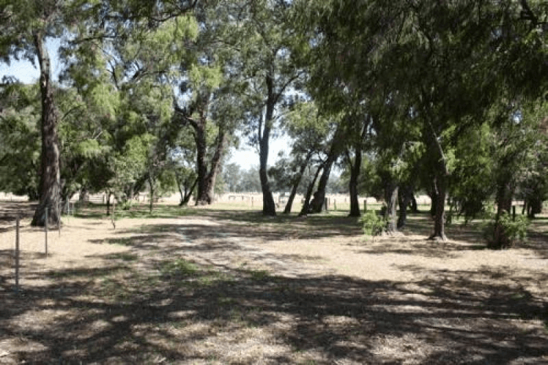 Lot 172 (24) Treloar Road, Capel River, WA 6271