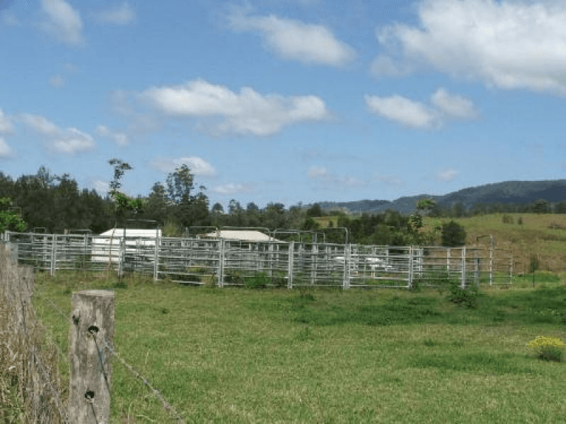 3901 Taylors Arm Road, Burrapine, NSW 2447